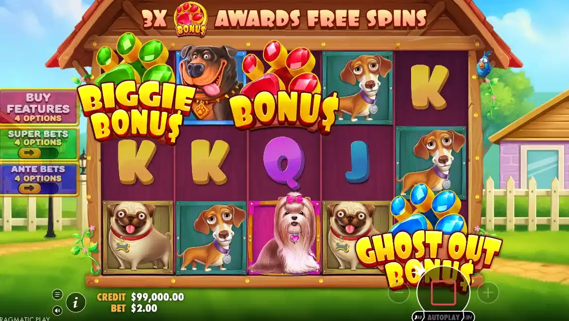 What Is The Big Dog House and Where Does It Fit in the Series?