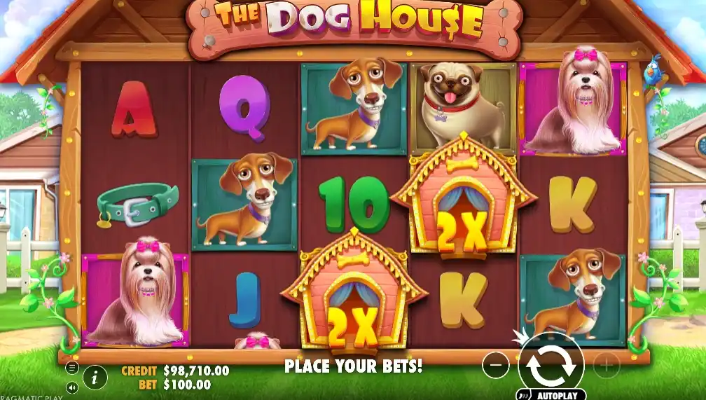The Dog House Slot RTP, Volatility & Max Win