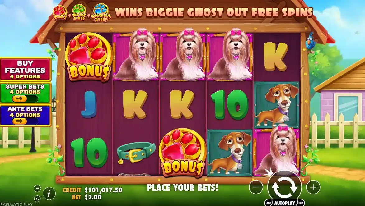 Free Spins Round